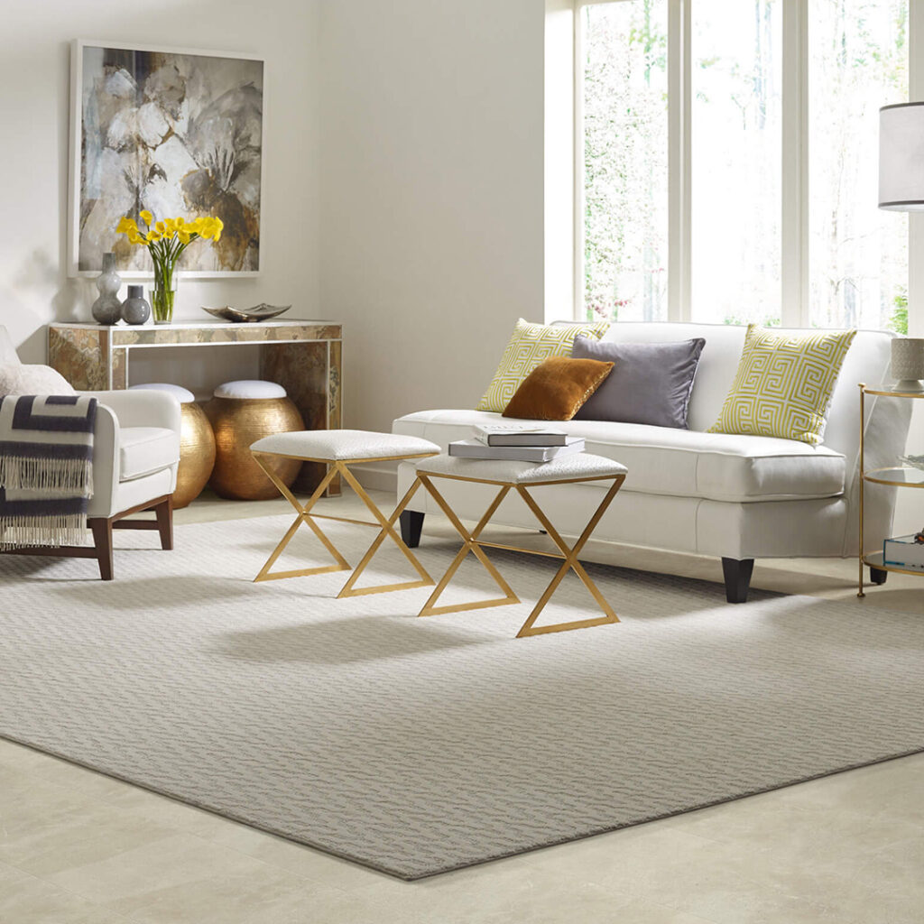 Area rug | Hauptman Floor Covering Co Inc