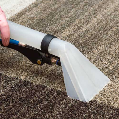 Carpet care | Hauptman Floor Covering Co Inc